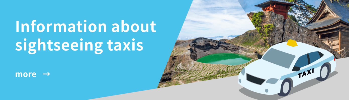 Information about sightseeing taxis